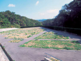 鵯越墓地きりしま区