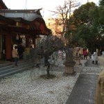 綱式神社さんの大祓（おおはらい）のお手伝いさせていただきました。