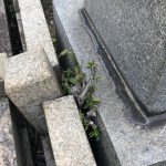 神戸市鵯越墓園で玉垣の修理とレジンストーンを使ったお墓の防草工事を行いました。