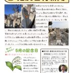 墓地内の育ち過ぎた樹木の撤去作業を行いました。【池尻石材新聞　令和6年5月号】